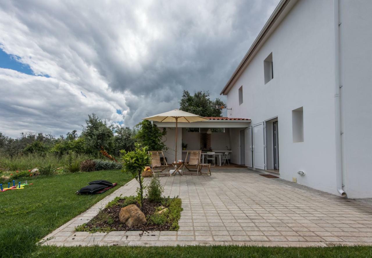 Casa Do Olival Villa Figueiro Dos Vinhos Exterior photo
